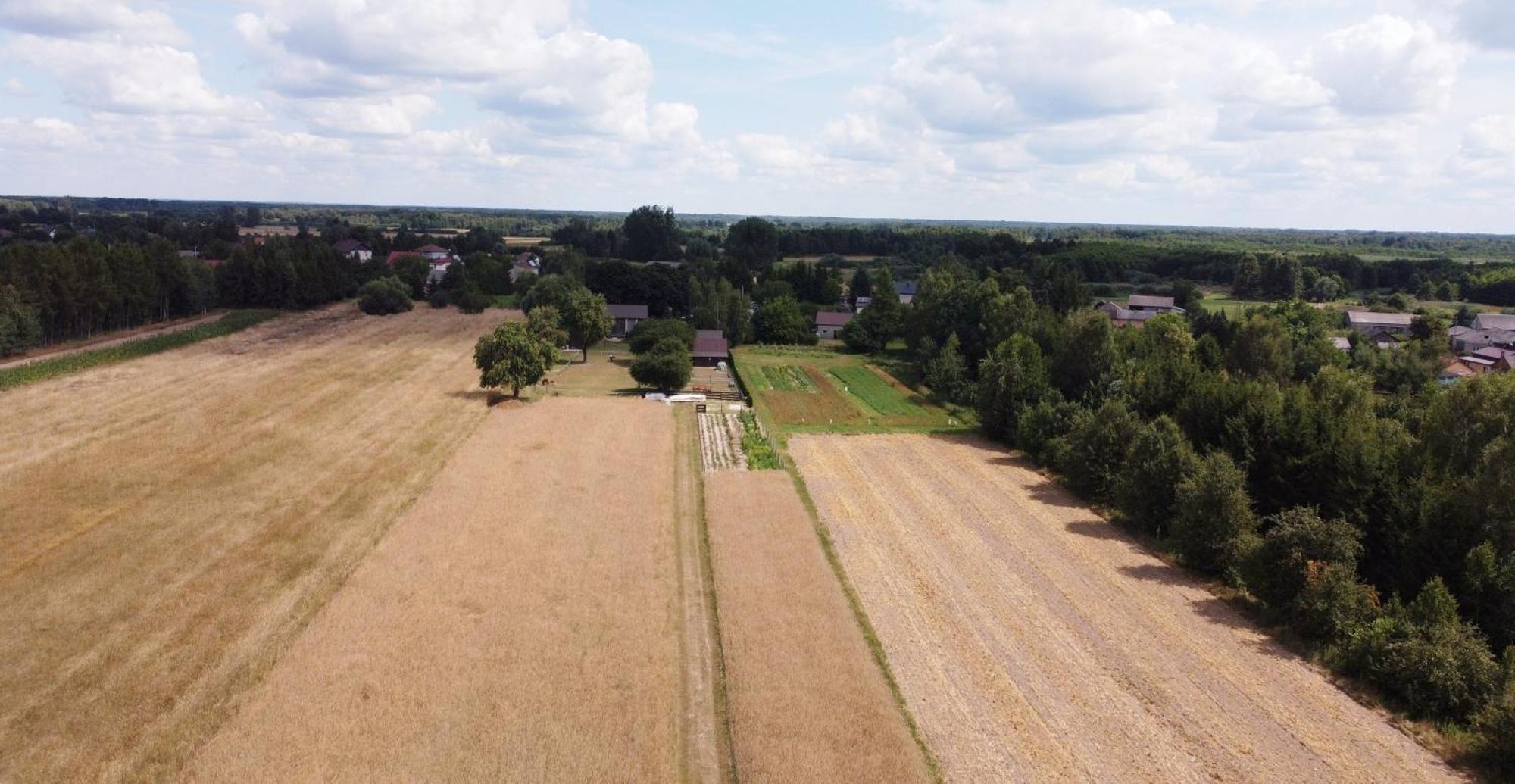 Agroturystyka Kraina Jezior Ludwin Εξωτερικό φωτογραφία